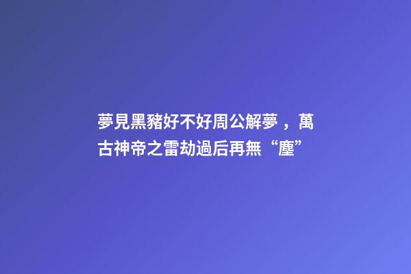 夢見黑豬好不好周公解夢，萬古神帝之雷劫過后再無“塵”